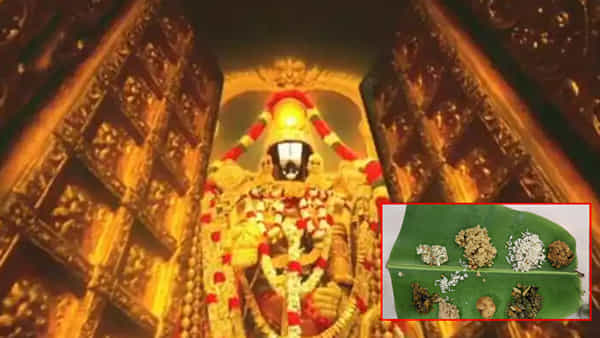 Tirumala: ప్రధాని నుంచి సామాన్యుడి వరకు అందరికీ ఒకే రకమైన భోజనం.. టీటీడీ సంచలన నిర్ణయం