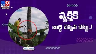 Viral Video: లేస్‌ ప్యాకెట్లతో చీర ఏంట్రా బాబు.. నెట్టింట వీడియో వైరల్