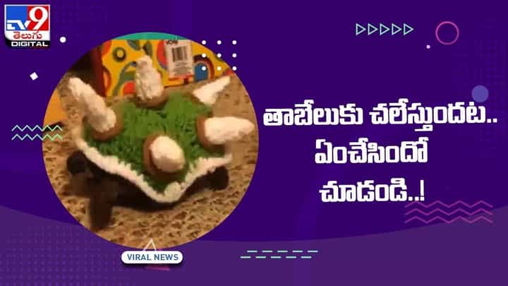 Viral Video: తాబేలుకు చలేస్తుందట !! ఏంచేసిందో చూడండి !! వీడియో Viral Video: తాబేలుకు చలేస్తుందట !! ఏంచేసిందో చూడండి !! వీడియో