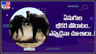 Viral Video: విమానాశ్రయంలో ఎయిర్‌ హోస్టెస్‌ స్టెప్పులకు నెటిజన్ల ప్రశంసలు.. వైరల్‌ అవుతున్న వీడియో