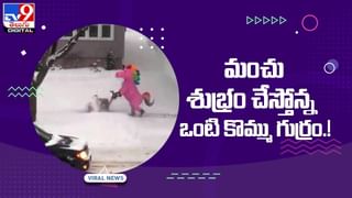 Viral Video: తగ్గేదే లే అంటున్న బుడ్డోడు.. శ్రీవల్లి పాటకు ఈ కుర్రాడి డాన్స్ అదుర్స్.. నెట్టింట్లో వీడియో వైరల్..