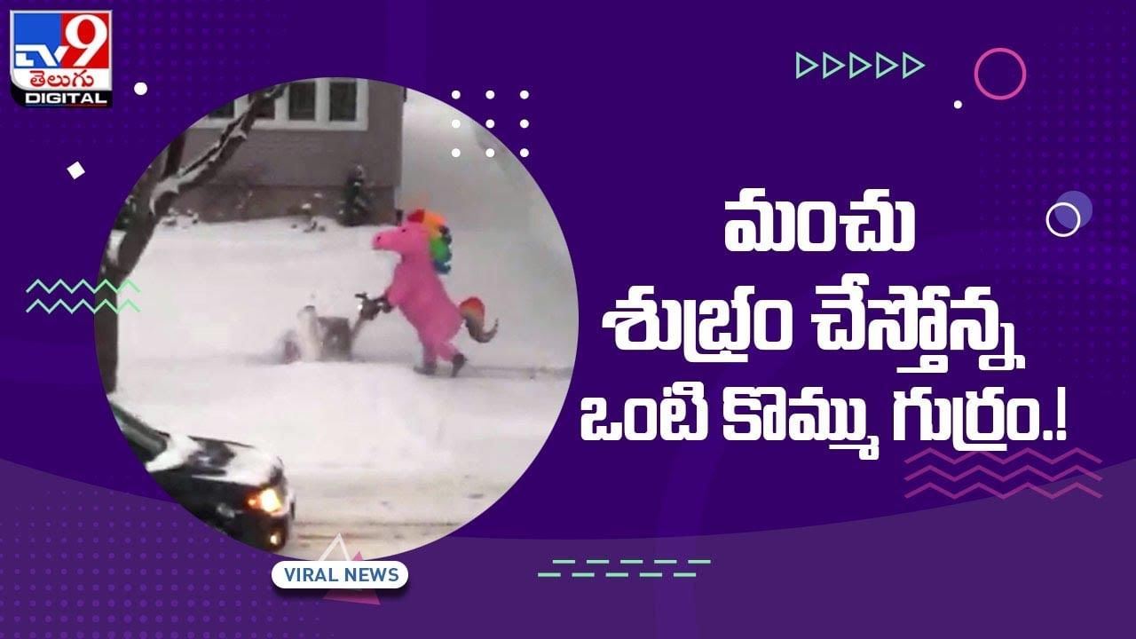 Viral Video: మంచు శుభ్రం చేస్తోన్న ఒంటి కొమ్ము గుర్రం !! వీడియో