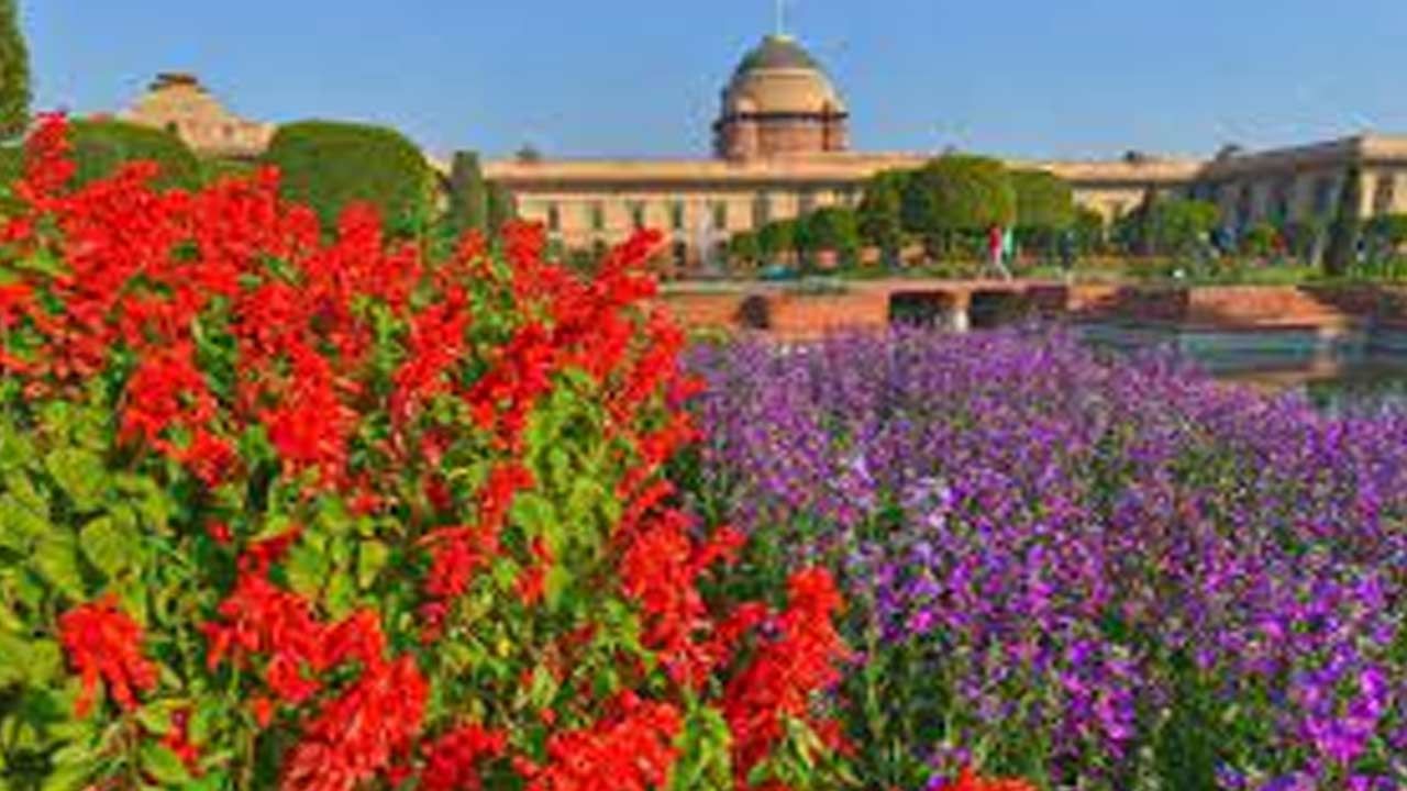 Mughal Garden: మొఘల్ గార్డెన్స్ లో సందర్శకులకు అనుమతి.. తేదీలు, మార్గదర్శకాలు ఏమిటంటే..