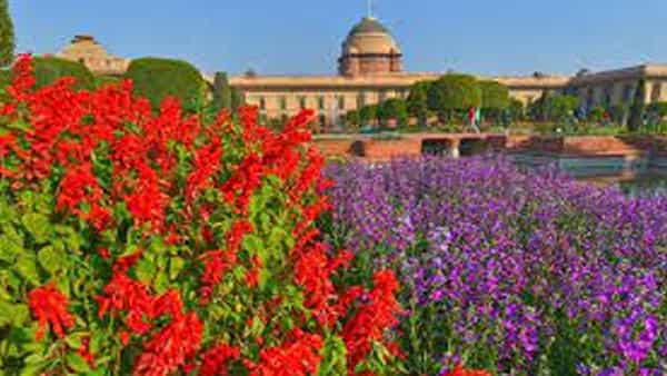Mughal Garden: మొఘల్ గార్డెన్స్ లో సందర్శకులకు అనుమతి.. తేదీలు, మార్గదర్శకాలు ఏమిటంటే..
