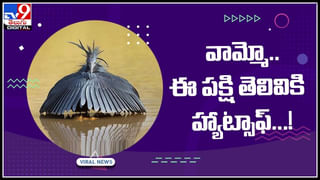 Tik Talk Viral Video: టిక్ టాక్ కోసం పెదాలకు సర్జరీ చేసుకున్న వీర వనిత.. సీన్‌ రివర్స్‌ అయి ఇప్పుడిలా…!వీడియో