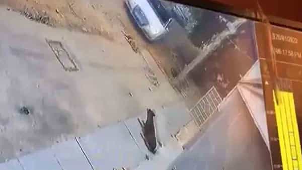 Viral Video: వీడు నిజంగానే రాక్షసుడే.. సీసీటీవీలో అడ్డంగా దొరికిపోయాడు.. ఏం చేశాడో మీరే చూడండి..
