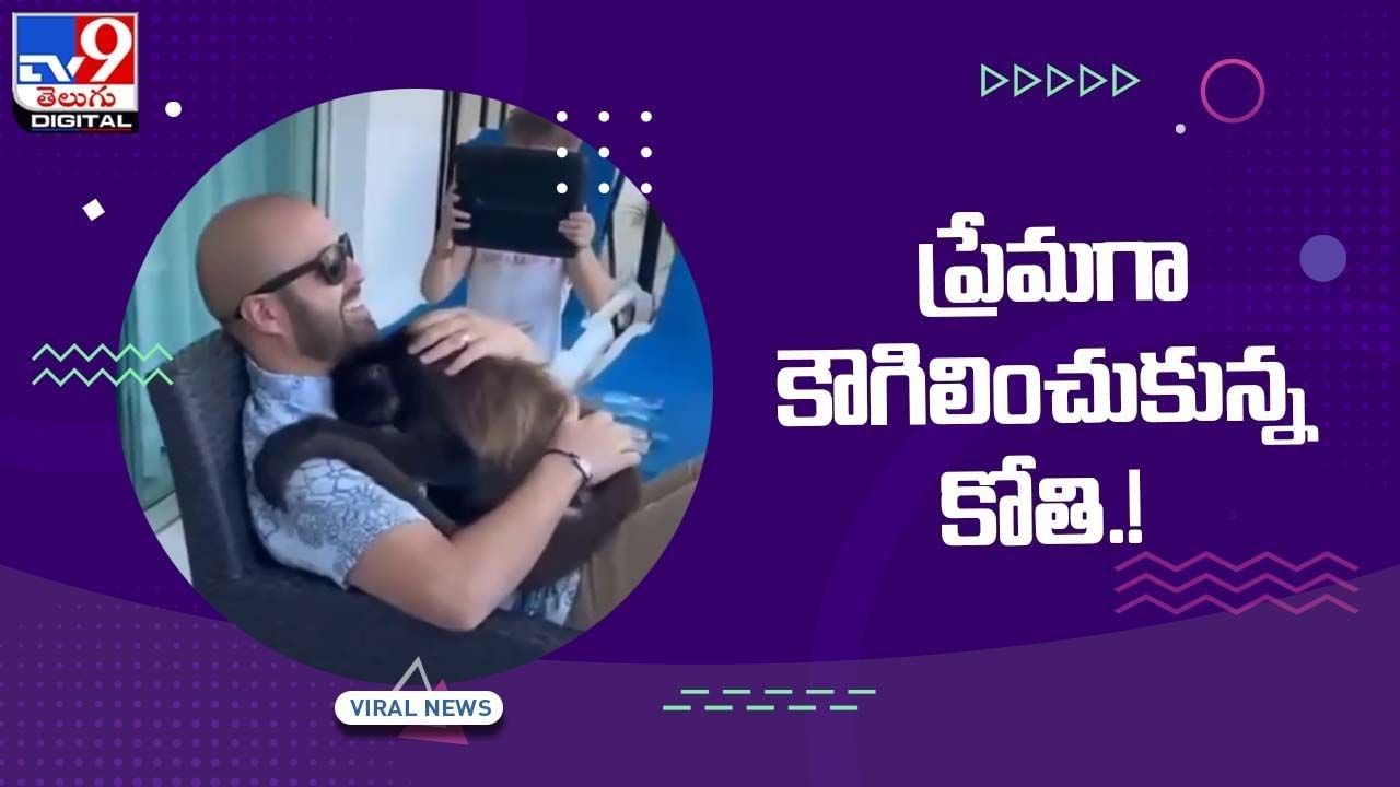 Viral Video: ప్రేమగా కౌగిలించుకున్న కోతి !! నెట్టింట్లో వీడియో వైరల్