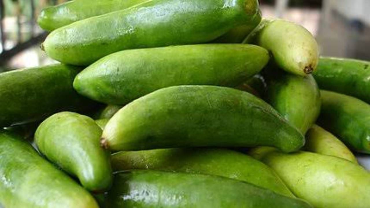 ivy gourd: దొండకాయ తింటున్నారా.. అయితే విషయాలు తెలుసుకోండి..