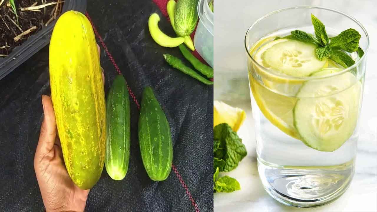 Cucumber Water: బరువు తగ్గాలనుకుంటున్నారా రోజూ.. దోసకాయ వాటర్‌ని తాగండి.. తయారీ ఇలా.