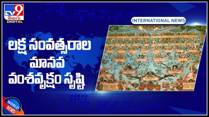 Gene sequencing: లక్ష సంవత్సరాల మానవ వంశవృక్షం సృష్టి.. ఆక్స్ఫర్డ్ పరిశోధకుల కృషి .. సంచలనంగా మారిన వీడియో.. Gene sequencing: లక్ష సంవత్సరాల మానవ వంశవృక్షం సృష్టి.. ఆక్స్ఫర్డ్ పరిశోధకుల కృషి .. సంచలనంగా మారిన వీడియో..