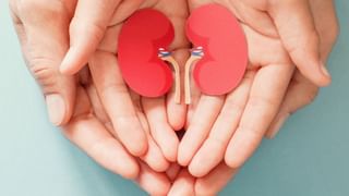 Electric Cooker: కరెంట్ కుక్కర్‌లో వండిన అన్నం తింటున్నారా.. ఈ విషయాలు తెలిస్తే మీ గుండె గుబేలుమంటుంది