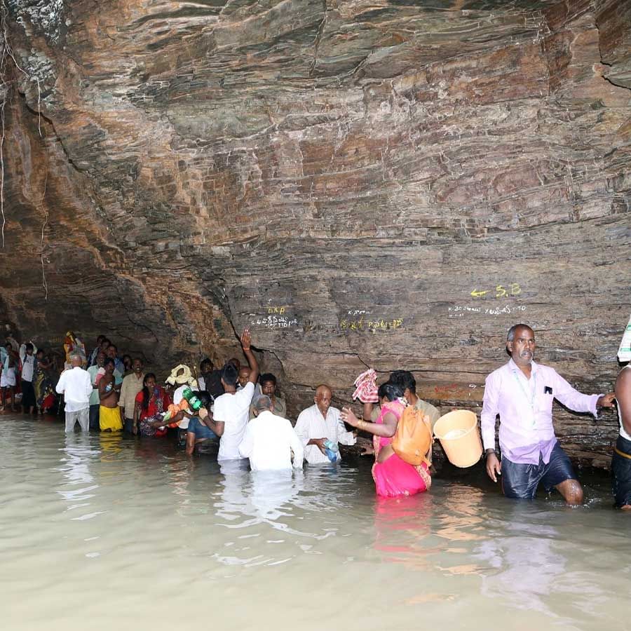 పాల్గుణ మాసం ఉత్తర ఫల్గుణీ నక్షత్రముతో కూడిన పౌర్ణమినాడు తుంబురు తీర్థ ముక్కోటి నిర్వహించడం టీటీడీ ఆనవాయితీగా నిర్వహిస్తోంది. ప్రకృతి అందాల మధ్య అద్భుత శిలా సౌదర్యం దాగివున్న తుంబురు తీర్థం లో స్నానమాచరించి తుంబురుడిని దర్శించి మొక్కులు తీర్చుకునే  భక్తుల్లో ఏటా మరువురాని అనుభూతి పొందుతున్నారు.