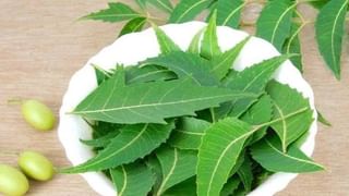 Hot Water Benefits in Summer: వేసవి కాలంలో వేడి నీటితో స్నానం మంచిదేనా? షాకింగ్ విషయాలు మీకోసం..