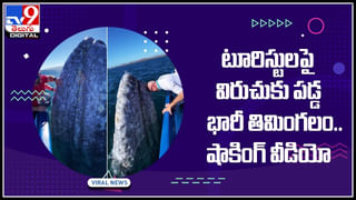 Local to Global Live: లోకల్ టూ గ్లోబల్.. ఫటా ఫట్ ఎక్స్‌ప్రెస్ న్యూస్ మీ కోసం…(వీడియో)