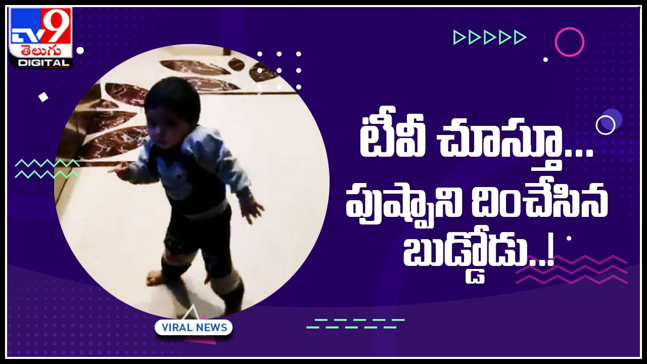 Kid Dance Video: టీవీ చూస్తూ... పుష్పాని దించేసిన బుడ్డోడు..! పలు రకాల కామెంట్లు చేస్తున్న నెటిజన్లు..(వీడియో)