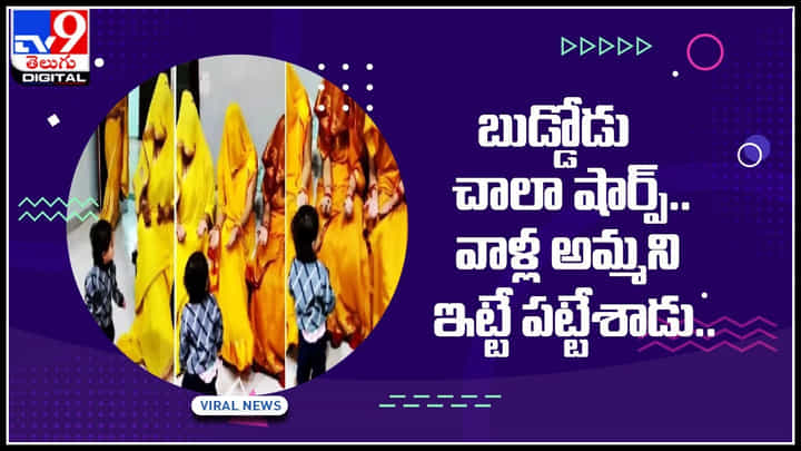 Boy Cute Video: బుడ్డోడు చాలా షార్ప్.. వాళ్ల అమ్మని ఇట్టే పట్టేశాడు.. ఫిదా అవుతున్న నెటిజన్లు.. వీడియో Boy Cute Video: బుడ్డోడు చాలా షార్ప్.. వాళ్ల అమ్మని ఇట్టే పట్టేశాడు.. ఫిదా అవుతున్న నెటిజన్లు.. వీడియో