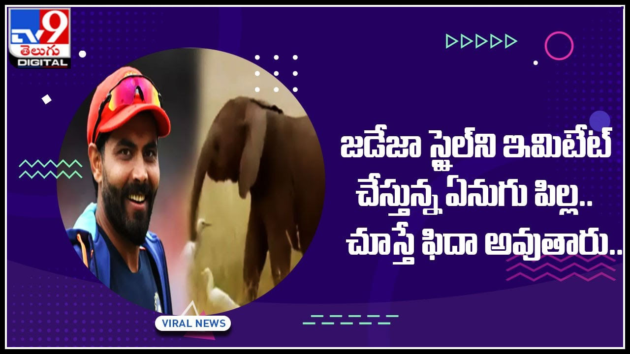 Elephant-Jadeja: స్టార్‌ క్రికెటర్‌ స్టైల్‌ని ఇమిటేట్‌ చేస్తున్న ఏనుగు పిల్ల.. ఏనుగు పిల్ల టాలెంట్‌ సూపర్‌ వీడియోకి నెటిజన్లు ఫిదా