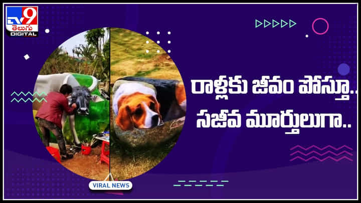 రాళ్లకు జీవం పోస్తూ.. బండరాళ్లతో నిండిన ఆ ప్రదేశం నందనవనంలా.. నెట్టింట వైరల్ అవుతున్న వీడియో.. రాళ్లకు జీవం పోస్తూ.. బండరాళ్లతో నిండిన ఆ ప్రదేశం నందనవనంలా.. నెట్టింట వైరల్ అవుతున్న వీడియో..