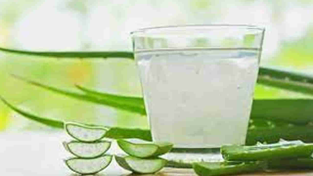 Aloe Vera Benefits: మీ చర్మం మిలమిల మెరిసిపోవాలా.. అయితే కలబందతో ఇలా చేయండి..