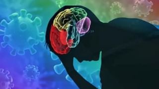 Betel Leaf: ఎండకాలంలో పాన్ తింటే ఎన్నో ప్రయోజనాలు.. తమలాపాకులతో ఈ వ్యాధులకు చెక్ పెట్టొచ్చు..