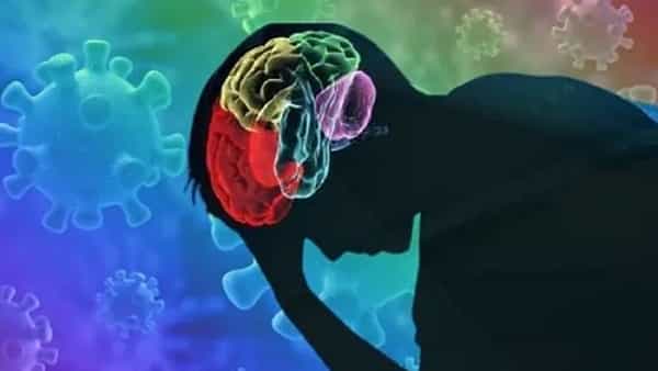 Alzheimer Disease: ఈ లక్షణాలు కనిపిస్తున్నాయా..? అయితే అల్జీమర్స్ బారిన పడే అవకాశం.. ఎందుకో తెలుసుకోండి