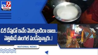 Viral Video: ఇదేందిరయ్యా.. ప్రెగ్నెంట్ ఆరెంజ్ అంట !! వీడియో