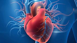 Eating Fast: వేగంగా తినడం వల్ల చాలా నష్టాలు.. తెలిస్తే ఎప్పుడు అలా ట్రై చేయరు..!