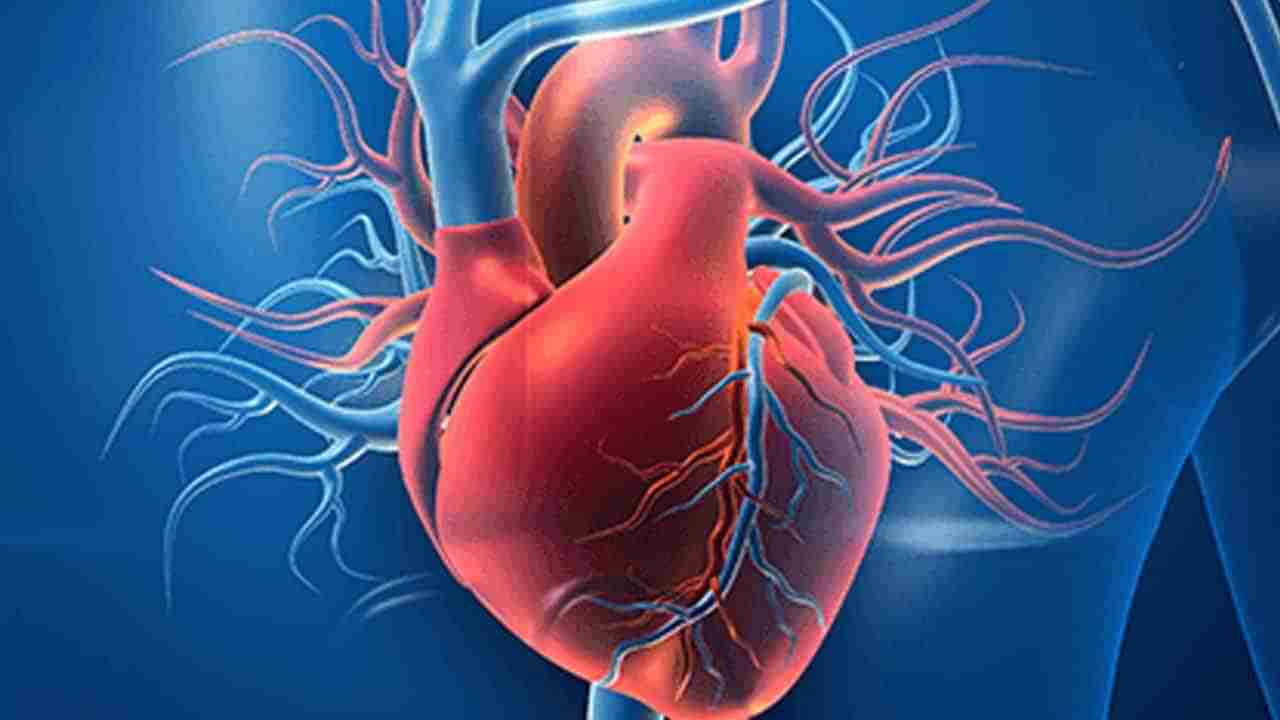 Angiogram: అసలు యాంజియోగ్రామ్ అంటే ఏమిటి.. ఏ సమయాల్లో చేస్తారు..? ఎందుకు చేస్తారు..?