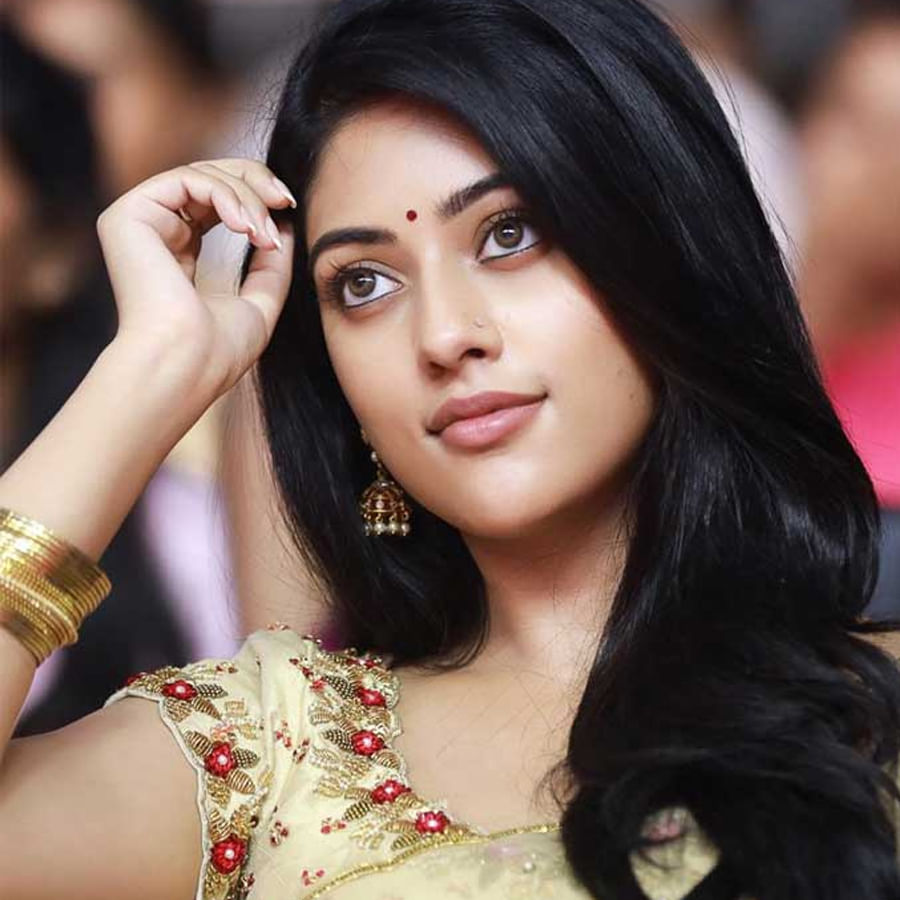 ప్రస్తుతం అల్లు శిరీష్ సరసన ఓ చిత్రంలో నటిస్తూ బిజీగా ఉంది. 