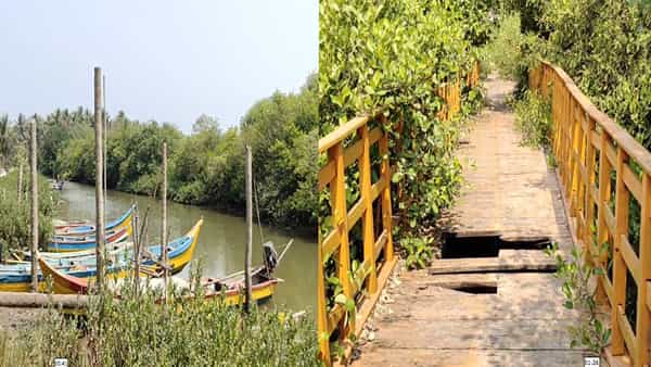 Andhra Pradesh: నేటికీ ప్రారంభంకాని గోదావరి తీరంలో భవనాలు, వంతెనలు.. అసాంఘిక కార్యకలాపాకు అడ్డాగా