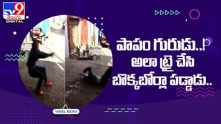 Viral Video: ఏయ్.. నన్నే ఫోటో దింపుతావా?.. పిల్లి దెబ్బకు అబ్బా అన్నా ఫోటోగ్రాఫర్.. ఫన్నీ వీడియో మీకోసం..