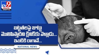Viral Video: సంగీతానికి పిల్లి పిల్లల డ్యాన్స్‌ !! చూస్తే ఫిదా అవాల్సిందే !!