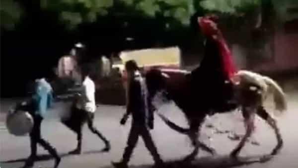 Viral Video: ఇలాంటి బరాత్ నెవ్వర్ బిఫోర్.. ఎవ్వర్ ఆఫ్టర్.. ఎంతమంది ఉన్నారో చూస్తే షాకవ్వాల్సిందే.. వైరల్ వీడియో