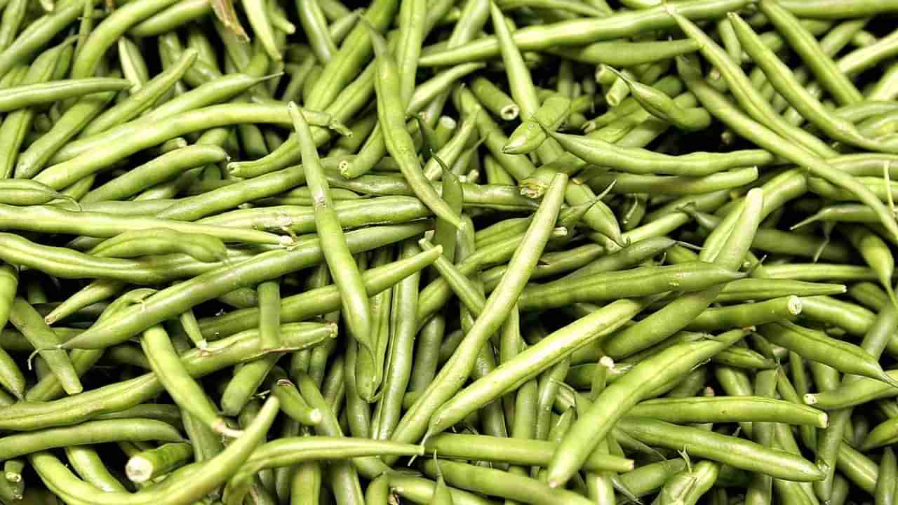 Weight Loss Tips: అధిక బరువుతో బాధపడుతున్నారా? అయితే, ఆహారంలో వీటిని చేర్చండి..