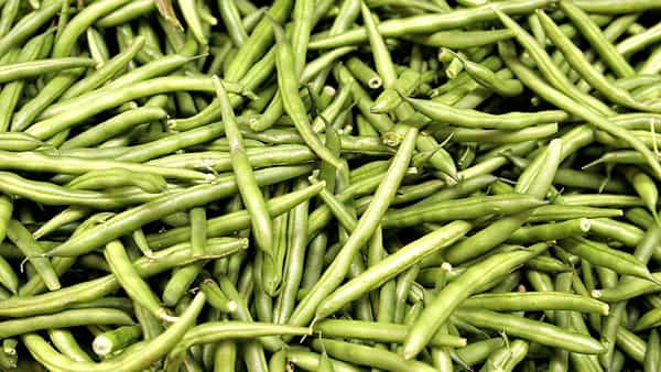 Weight Loss Tips: అధిక బరువుతో బాధపడుతున్నారా? అయితే, ఆహారంలో వీటిని చేర్చండి..