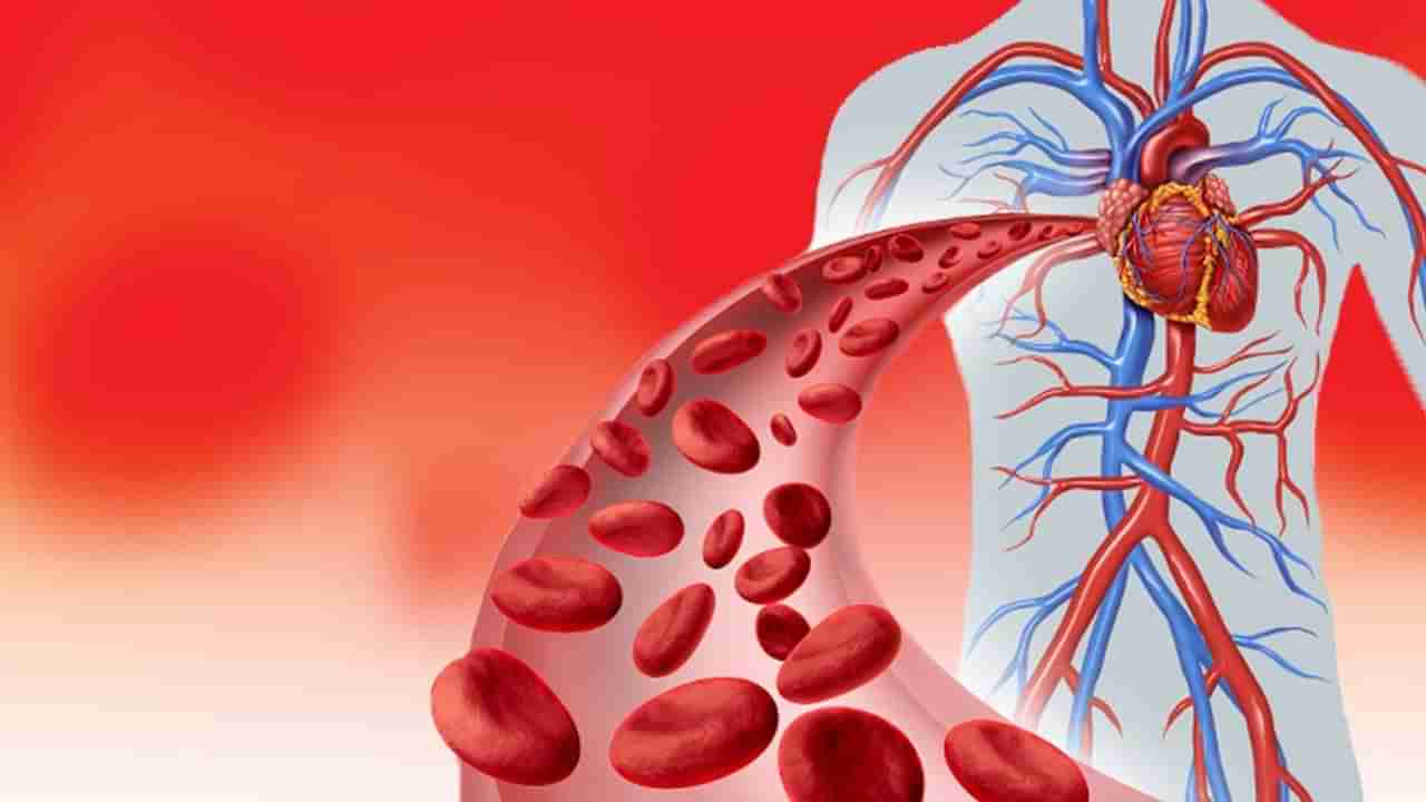 Blood Circulation: శరీరంలో రక్త ప్రసరణ సరిగ్గా ఉండాలంటే ఈ పదార్థాలను తీసుకోవాలి.. అవేంటంటే....