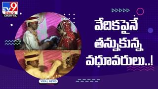 Viral Video: నెమలి-మేక మధ్య హోరాహోరి పోరు !! వీడియో