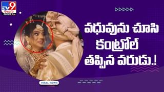 కుక్కలకు భారీ కొండచిలువ షాక్..చివరికి ఏం జరిగిందంటే ?? వీడియో