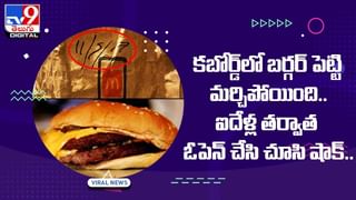 Viral Video: సింహానికే ఝలక్‌ ఇవ్వాలనుకుంది !! చివరికి ?? వీడియో