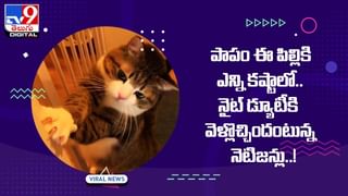 Viral Video: ఇదేందిరయ్యా.. ప్రెగ్నెంట్ ఆరెంజ్ అంట !! వీడియో