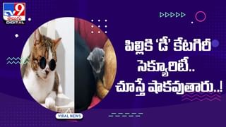 ఓరీ దేవుడో ఇదేం మొక్కుబడిరా బాబు.. నెత్తిమీదే పొంగల్‌ వండేస్తున్నారు !! వీడియో