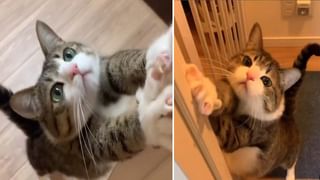 Viral Video: 90 ఏళ్ల బామ్మకు బర్త్‌డే సర్‌ప్రైజ్.. ఆమె ఆనందాన్ని చూస్తే మీ కంట కన్నీరు ఆగదు..