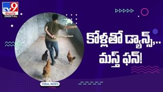 Viral Video: న్యూజనరేషన్ ప్లేట్ !! తినే కంచంలోనే సెల్‌ఫోన్‌ !!