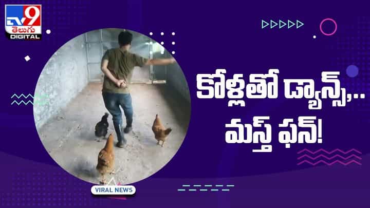 Viral Video: కోళ్లకు ట్రైనింగ్ ఇచ్చి డ్యాన్స్ చేయించిన యజమాని !! వీడియో వైరల్ Viral Video: కోళ్లకు ట్రైనింగ్ ఇచ్చి డ్యాన్స్ చేయించిన యజమాని !! వీడియో వైరల్