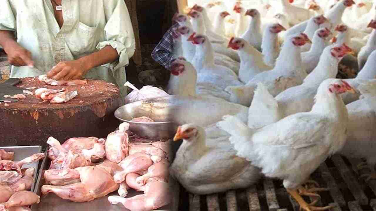 Chicken Price Hike: మాంసం ప్రియులకు షాకింగ్ న్యూస్.. కోడి కొండెక్కింది.. చుక్కలనంటుతున్న చికెన్ రేట్..!