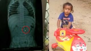 Four Legged Chicken: జనగాం జిల్లాలో వింత కోడిపిల్ల జననం.. బారులు తీరిన జనం..