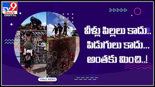 Viral Video: ఆ నలుగురిలో అమ్మ ఎవరు..? బుడ్డోడు గుర్తించాడా..? క్యూట్ వీడియో