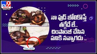 Nasa video: ఏమండోయ్ ఇది విన్నారా..? చంద్రుడిపైకి మనుషులు.. ప్లాన్‌ రెడీ చేసిన నాసా..!