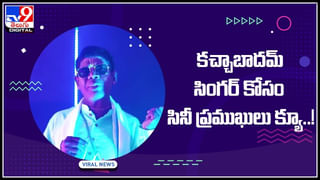 Viral Video: కుక్కకు అంతిమ సంస్కారాలు నిర్వహించిన తోటి శునకాలు.. నెటిజన్ల హృదయాలను హత్తుకుంటోన్న వీడియో..