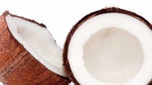 Raw Coconut Benefits: పచ్చి కొబ్బరి తింటున్నారా.. అయితే విషయాలు తెలుసుకోండి..